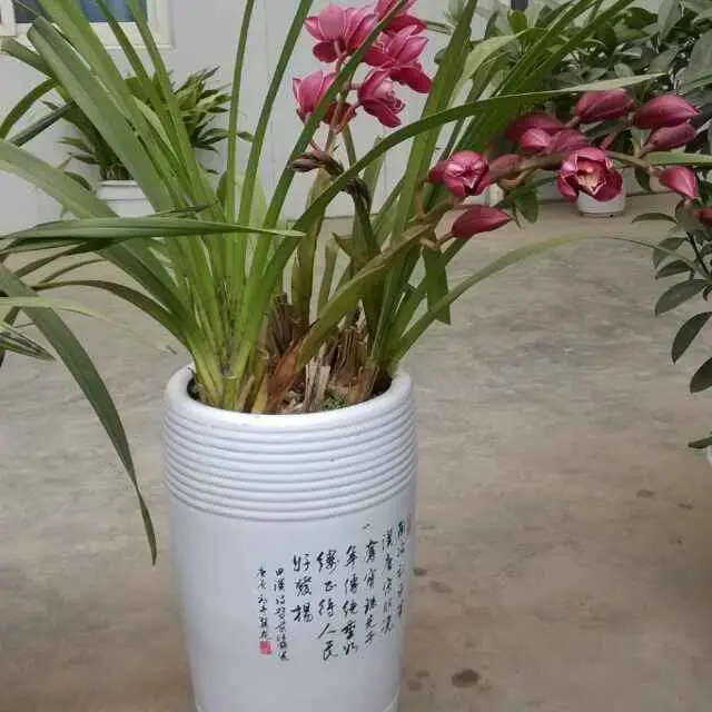 乡村研学